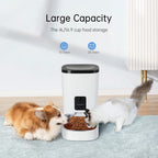 PUMPKII 4L Programmable Automatic Dog Feeder with Camera for Cats and Small Dogs