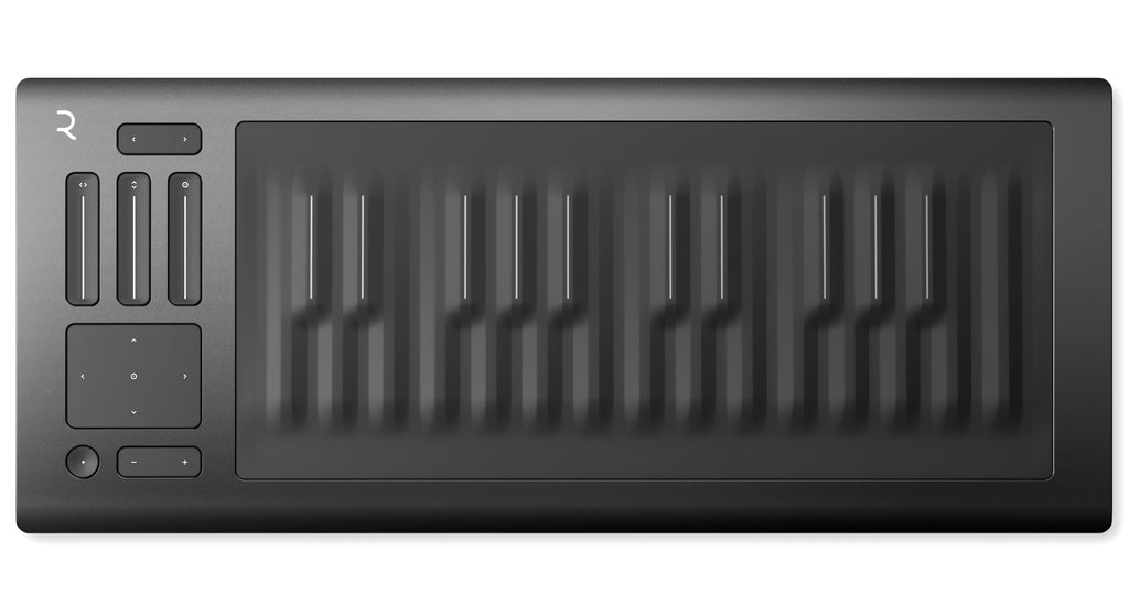 Seaboard RISE 25