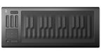 Seaboard RISE 25