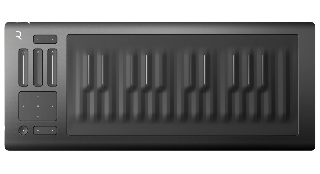 Seaboard RISE 25