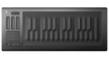 Seaboard RISE 25