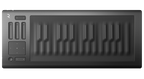 Seaboard RISE 25