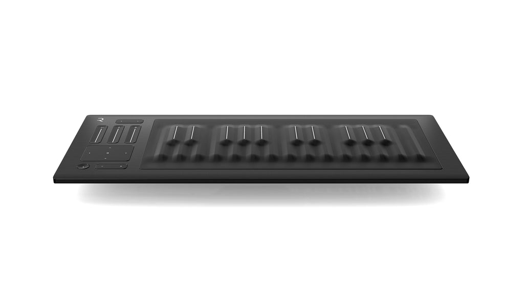 Seaboard RISE 25