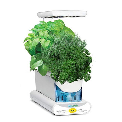 AeroGarden Sprout with Seed Kit