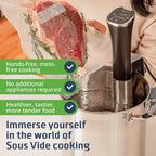 SOUSVIDE ART DELUXE Precision Cooker 800W with 30 Vacuum Seal Bags, Vacuum Pump, Digital Timer, & Temperature Control