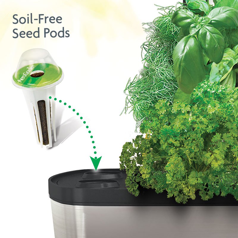 AeroGarden Sprout with Seed Kit