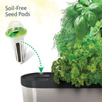 AeroGarden Sprout with Seed Kit