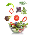 AeroGarden Sprout with Seed Kit