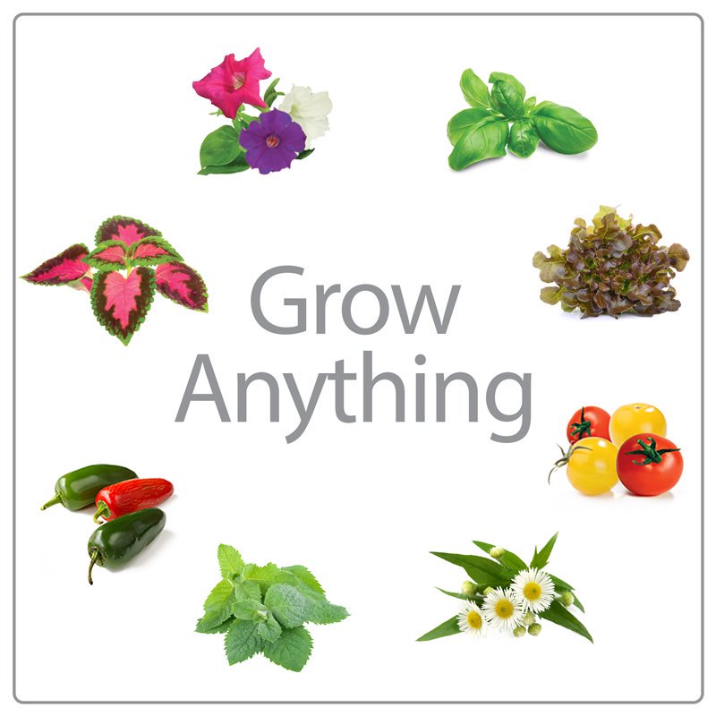 AeroGarden Sprout with Seed Kit
