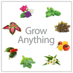 AeroGarden Sprout with Seed Kit