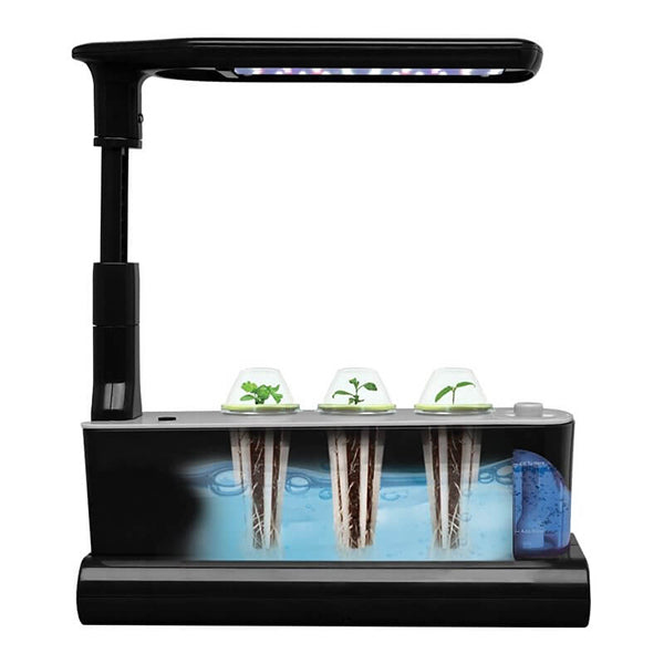 AeroGarden Sprout with Seed Kit