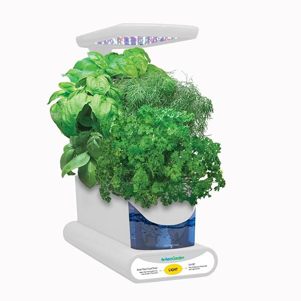 AeroGarden Sprout with Seed Kit