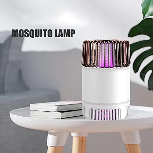 TAISHAN Insect Catcher & Killer for Bugs/Mosquito/Gnat /Moth/Fruit Flies with Nontoxic, Odorless Noiseless Powerful Efficient Light
