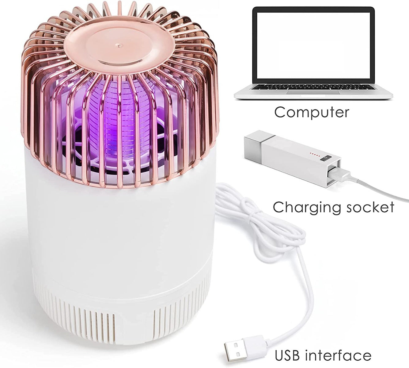 TAISHAN Insect Catcher & Killer for Bugs/Mosquito/Gnat /Moth/Fruit Flies with Nontoxic, Odorless Noiseless Powerful Efficient Light