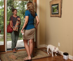 Potty Training System