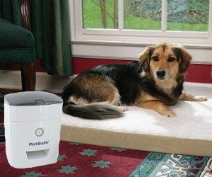 Potty Training System