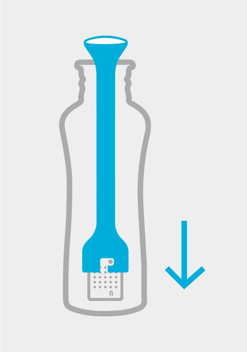 Insulated DYLN Alkaline Water Bottle