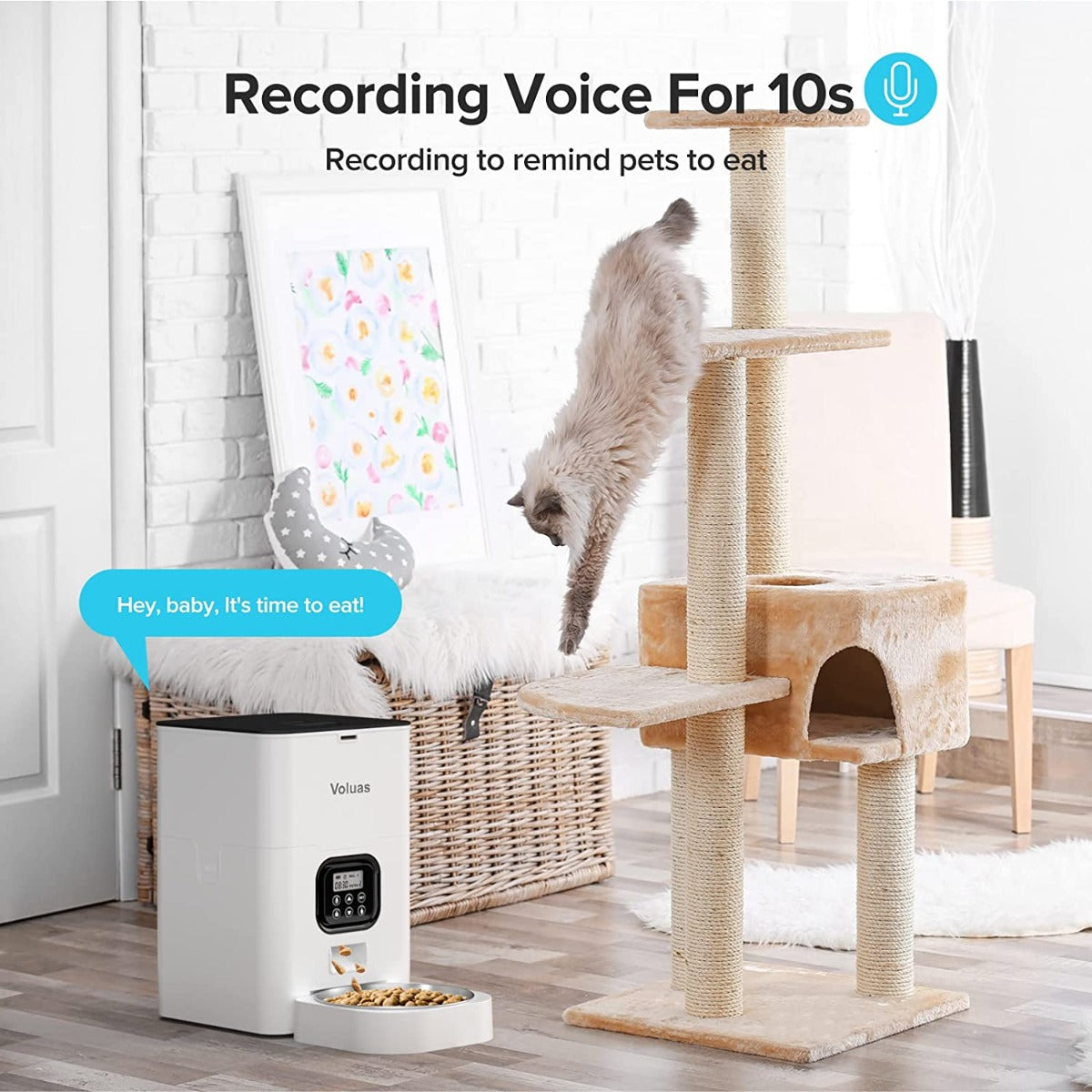 VOLUAS Automatic Pet Feeders for Cats and Dogs with Desiccant Bag, Timed Cat Feeder, Programmable Portion Size Control 4 Meals Per Day, 10s Voice Recorder-White