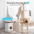 VOLUAS Automatic Pet Feeders for Cats and Dogs with Desiccant Bag, Timed Cat Feeder, Programmable Portion Size Control 4 Meals Per Day, 10s Voice Recorder-White