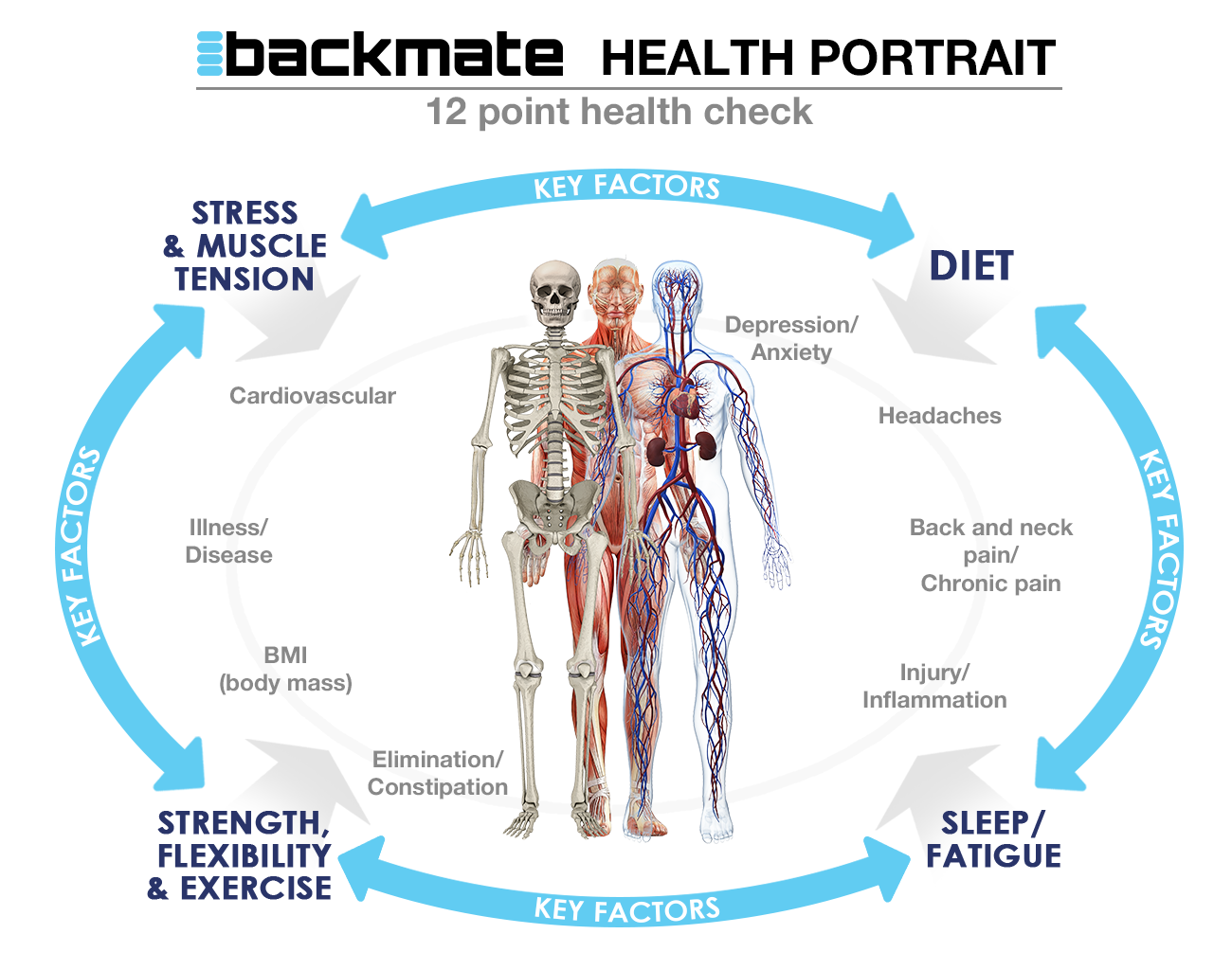 The Backmate Massager with Hot and Cold Rollers