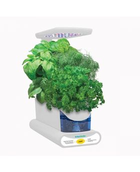 AeroGarden Sprout with Seed Kit